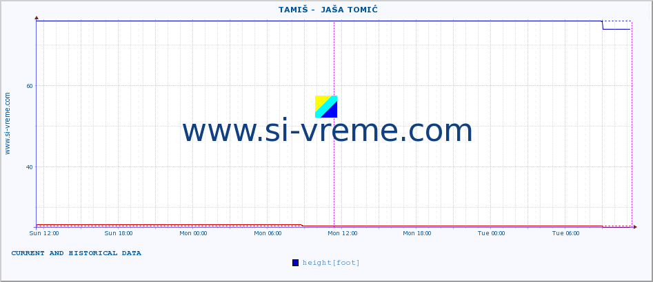  ::  TAMIŠ -  JAŠA TOMIĆ :: height |  |  :: last two days / 5 minutes.