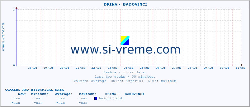  ::  DRINA -  BADOVINCI :: height |  |  :: last two weeks / 30 minutes.