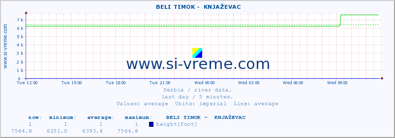  ::  BELI TIMOK -  KNJAŽEVAC :: height |  |  :: last day / 5 minutes.