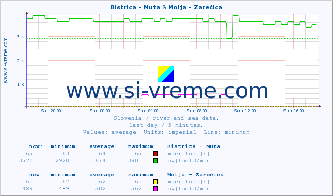  :: Bistrica - Muta & Molja - Zarečica :: temperature | flow | height :: last day / 5 minutes.