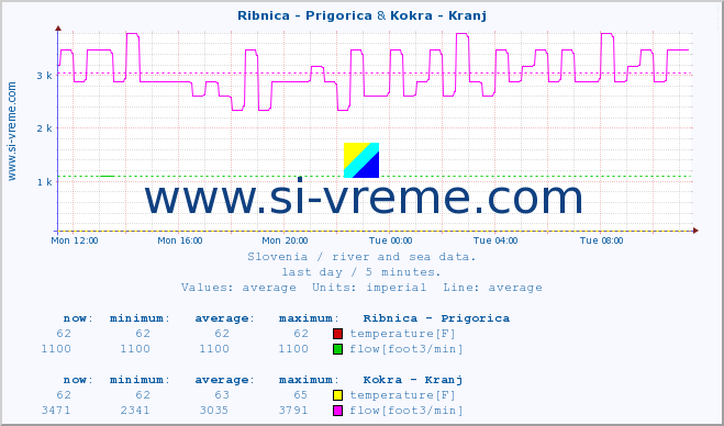  :: Ribnica - Prigorica & Kokra - Kranj :: temperature | flow | height :: last day / 5 minutes.