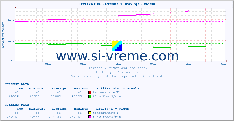  :: Tržiška Bis. - Preska & Dravinja - Videm :: temperature | flow | height :: last day / 5 minutes.