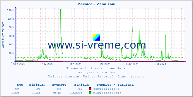  :: Pesnica - Zamušani :: temperature | flow | height :: last year / one day.