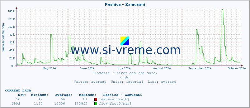  :: Pesnica - Zamušani :: temperature | flow | height :: last year / one day.