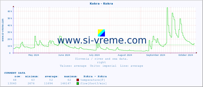  :: Kokra - Kokra :: temperature | flow | height :: last year / one day.