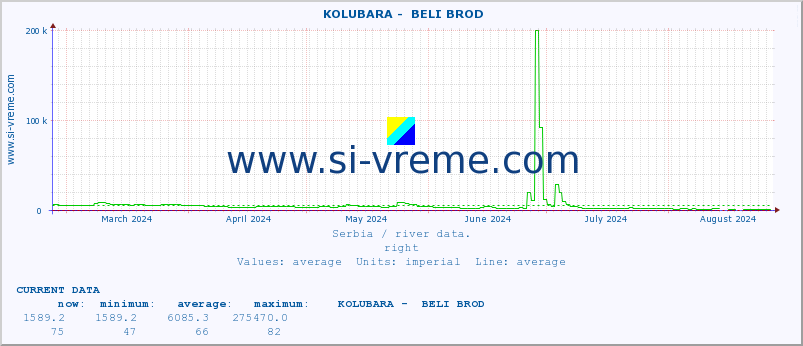  ::  KOLUBARA -  BELI BROD :: height |  |  :: last year / one day.