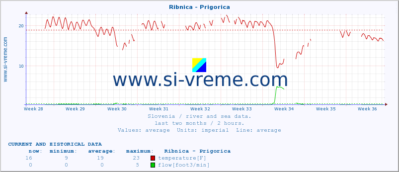  :: Ribnica - Prigorica :: temperature | flow | height :: last two months / 2 hours.