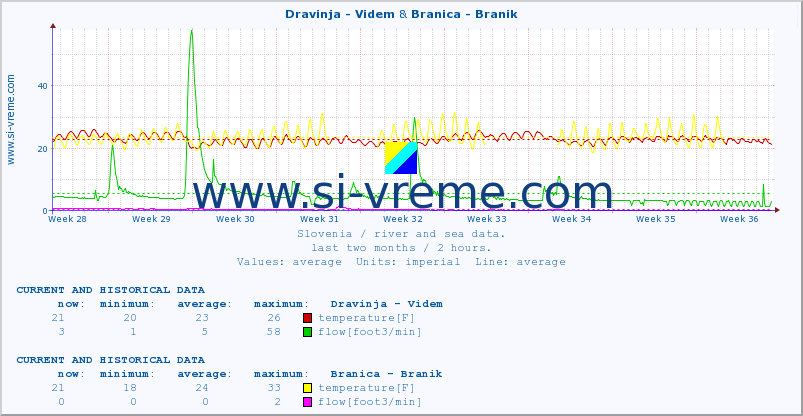  :: Dravinja - Videm & Branica - Branik :: temperature | flow | height :: last two months / 2 hours.