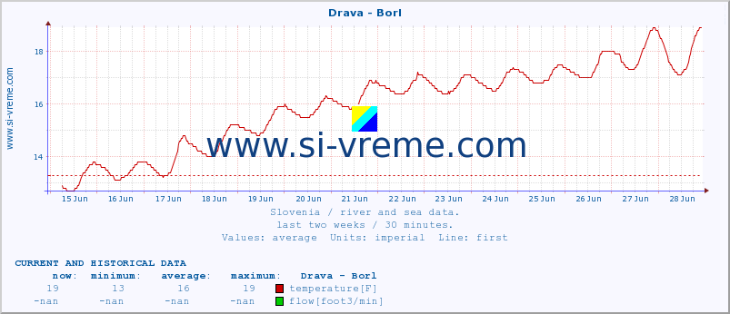  :: Drava - Borl :: temperature | flow | height :: last two weeks / 30 minutes.