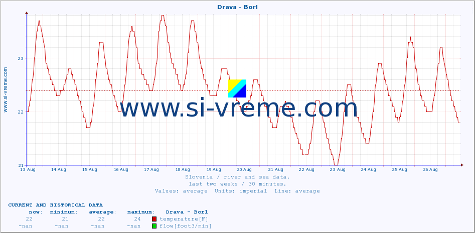  :: Drava - Borl :: temperature | flow | height :: last two weeks / 30 minutes.