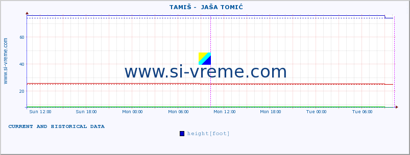  ::  TAMIŠ -  JAŠA TOMIĆ :: height |  |  :: last two days / 5 minutes.