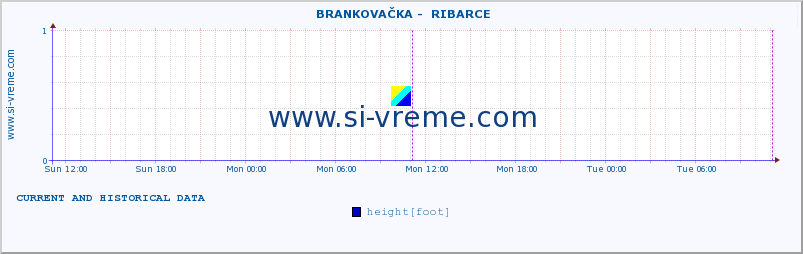  ::  BRANKOVAČKA -  RIBARCE :: height |  |  :: last two days / 5 minutes.