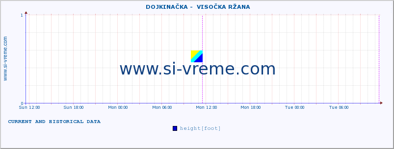  ::  DOJKINAČKA -  VISOČKA RŽANA :: height |  |  :: last two days / 5 minutes.