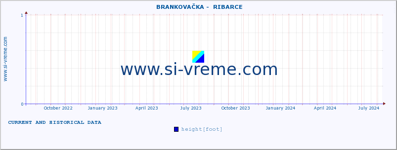  ::  BRANKOVAČKA -  RIBARCE :: height |  |  :: last two years / one day.