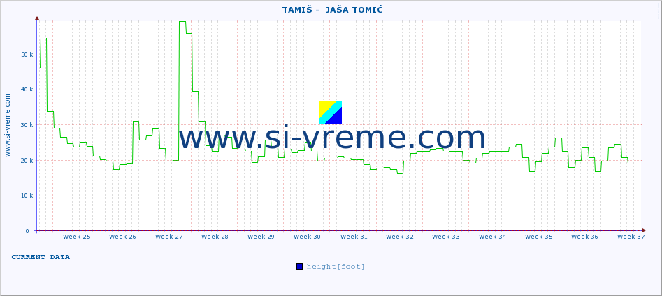  ::  TAMIŠ -  JAŠA TOMIĆ :: height |  |  :: last year / one day.