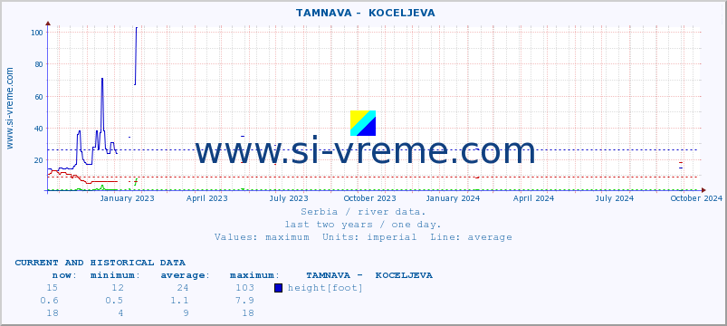  ::  TAMNAVA -  KOCELJEVA :: height |  |  :: last two years / one day.