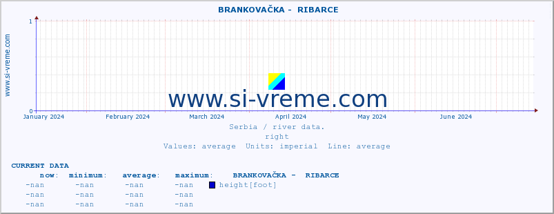  ::  BRANKOVAČKA -  RIBARCE :: height |  |  :: last year / one day.