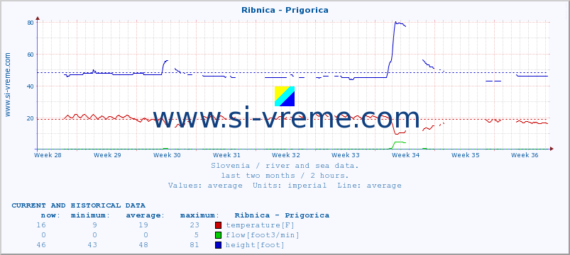  :: Ribnica - Prigorica :: temperature | flow | height :: last two months / 2 hours.