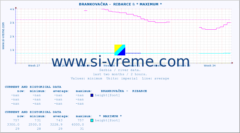  ::  BRANKOVAČKA -  RIBARCE & * MAXIMUM * :: height |  |  :: last two months / 2 hours.