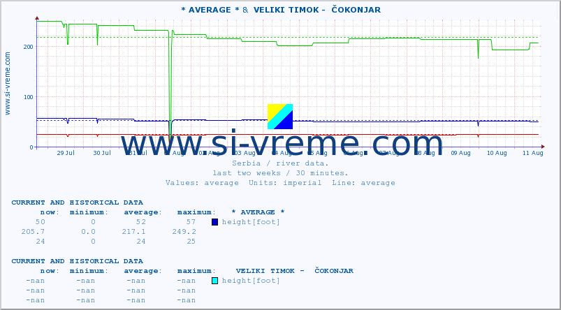  :: * AVERAGE * &  VELIKI TIMOK -  ČOKONJAR :: height |  |  :: last two weeks / 30 minutes.