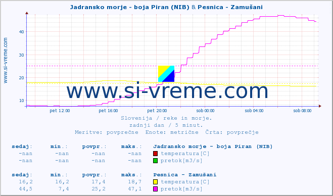 POVPREČJE :: Jadransko morje - boja Piran (NIB) & Pesnica - Zamušani :: temperatura | pretok | višina :: zadnji dan / 5 minut.